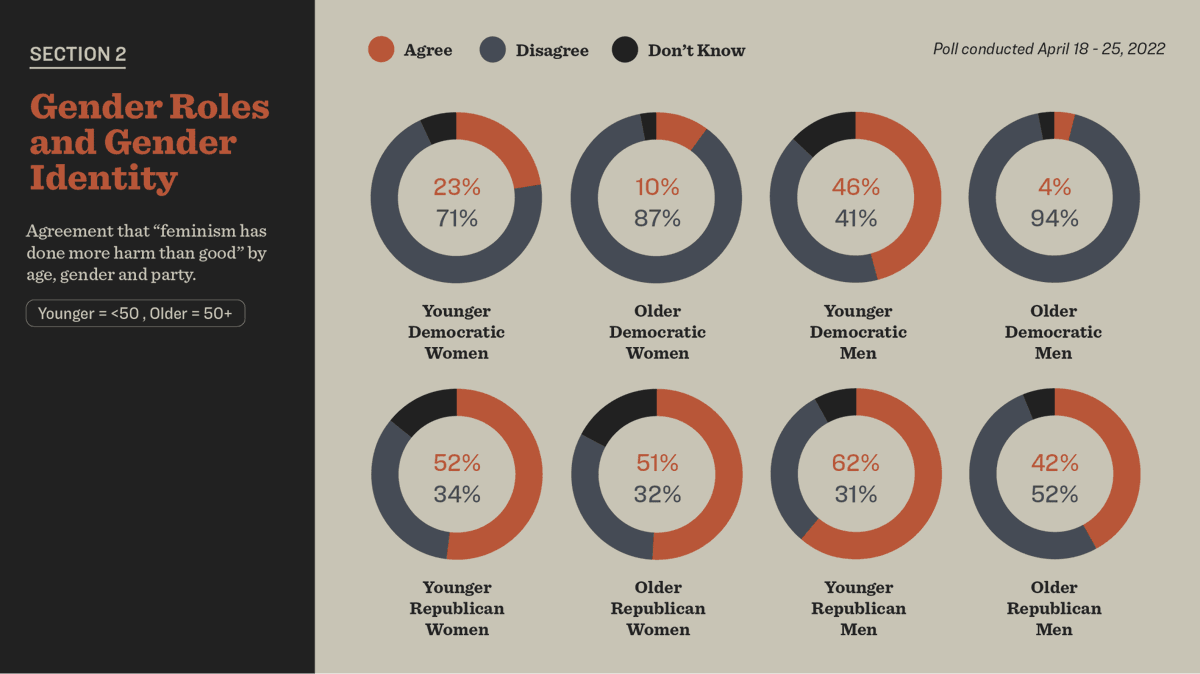 A poll by the Southern Poverty Law Center found that younger Democratic men are more likely than older Republican men to agree with the statement “feminism has done more harm than good.”