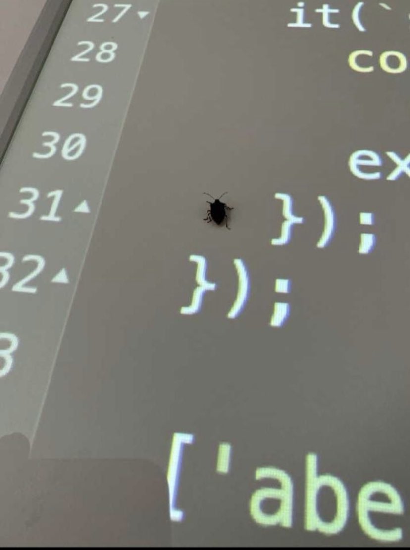 _devJNS's tweet image. my code before I go to bed      my code when I wake up