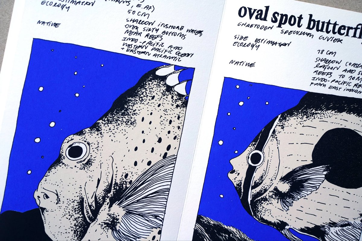 nneneiie's tweet image. ซีนเล่มล่าสุดเกี่ยวกับปลาลายจุด เป็นงานพิมพ์สกรีนปริ้นท์ ตั้งแต่ทำมา ชอบเล่มนี้ที่สุดเพราะสีหลังพิมพ์ได้ดั่งใจเหมือนที่เห็นในคอม 
ทุกอย่างเริ่มจากดูสารคดีเกี่ยวกับปลาไหลสวนลายจุด เลยอยากจะทำงานใหม่เกี่ยวกับสัตว์ทะเล

สามารถมาดูของจริงได้ในงาน BKKABF ศ/ส/อนี้ที่ BACC เข้าฟรีค่ะ