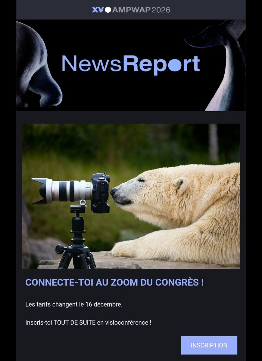 ZOOM IN! - NewsReport #12
congresamp.com/fr/inscription/
<a href="/ECF_AMP/">ECF</a> 
<a href="/AMPWAPCongres/">AMP-WAP Congrès Congreso Congresso Congress</a>