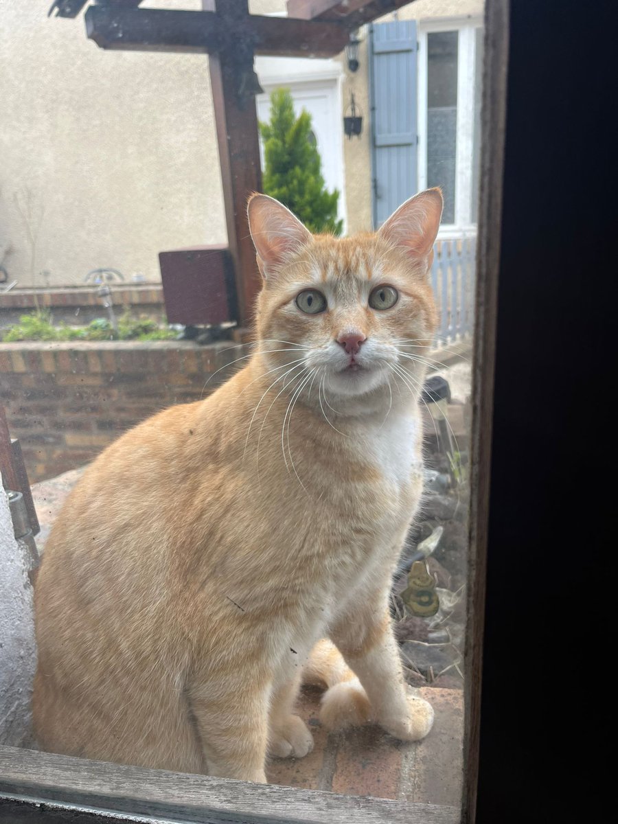 Appo'zitif tweet media