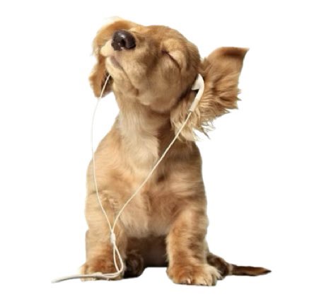 yo sabiendo q llegaré tarde a cualquier lugar que vaya