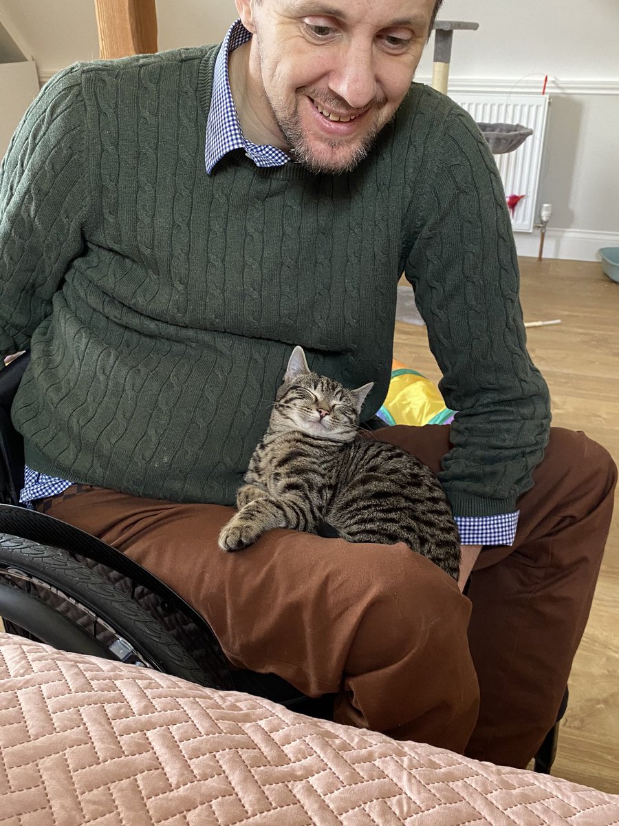 Gareth Hillier 🦅⚽️🐕🐈‍⬛💻🍷🥘 tweet media