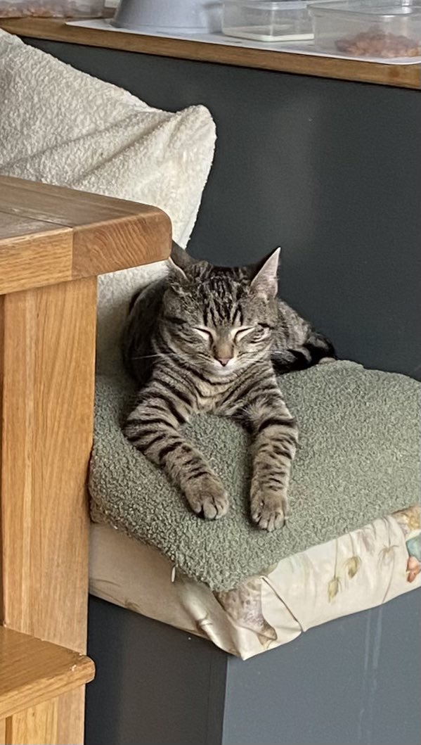 Gareth Hillier 🦅⚽️🐕🐈‍⬛💻🍷🥘 tweet media