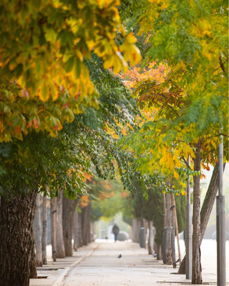 Casa Decor tweet media