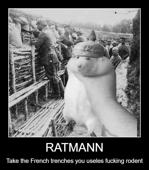 Tark (@phenomenalexpat) on Twitter photo 