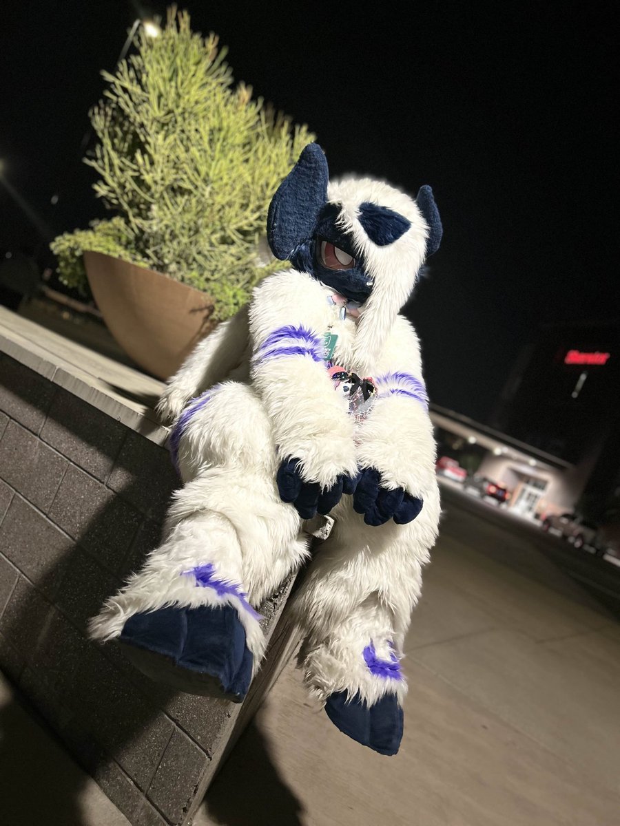 how to find me at mff!! :3c #FurFest will be around @raidofdice a