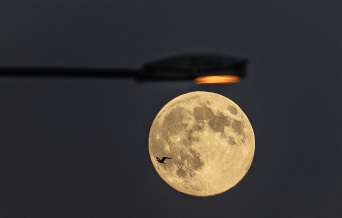 📌 Trabzon'un Ortahisar ilçesinde görüntülenen dolunay, güzel görüntü oluşturdu.