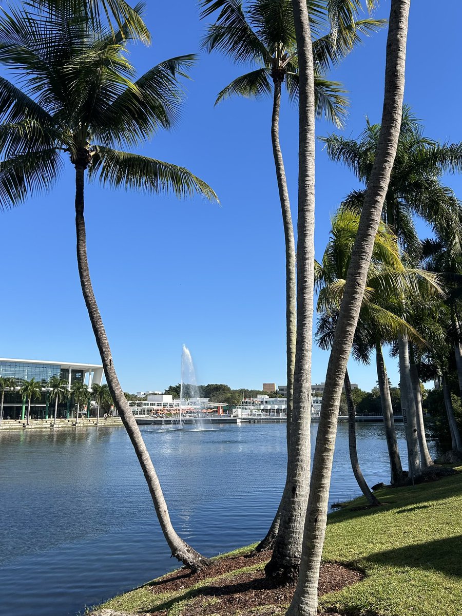 Noah Williams tweet media