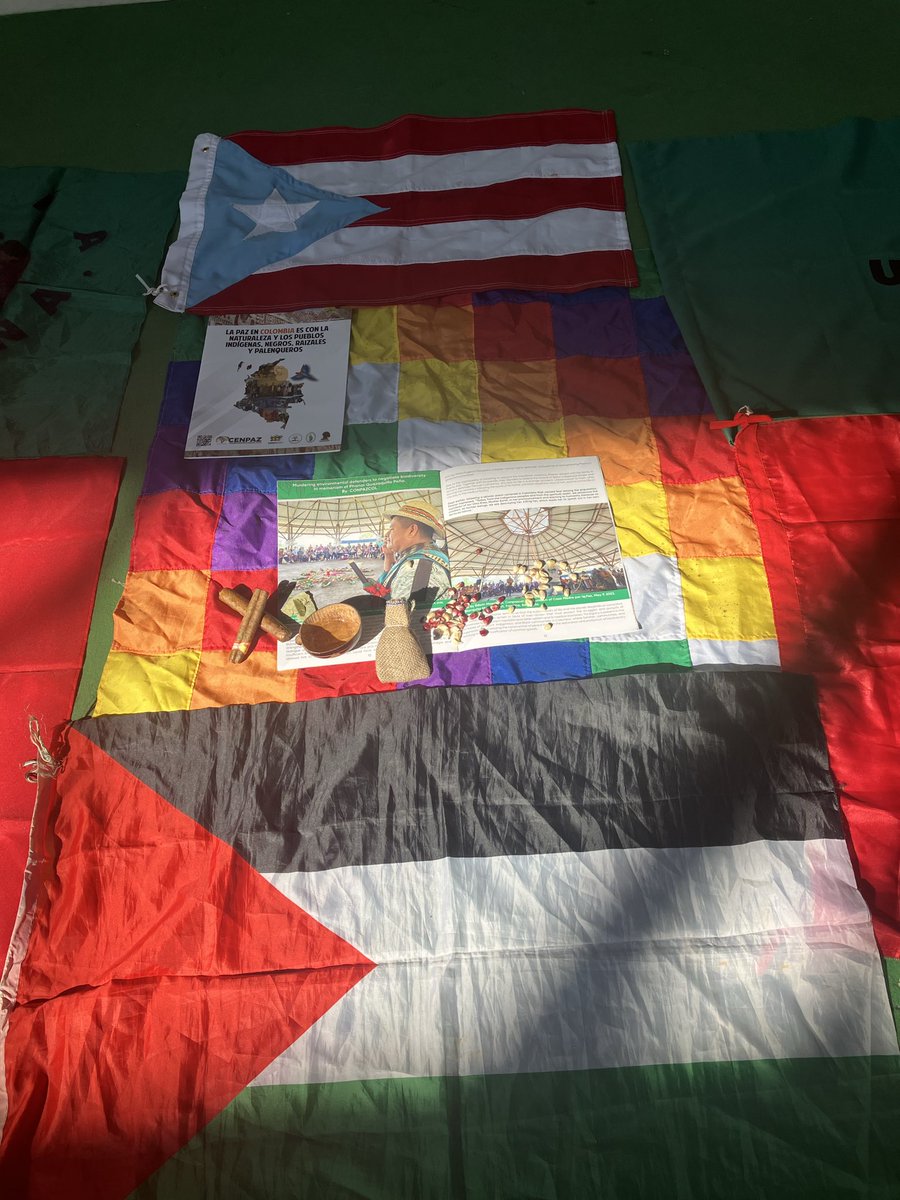 🦜#PhanorEsSemilla #ParaLaGuerraNada Paz para Colombia y el Mundo <a href="/ConpazCol_/">Conpazcol</a> #DeLeer cenpaz.com/2024/11/asesin… 🌽