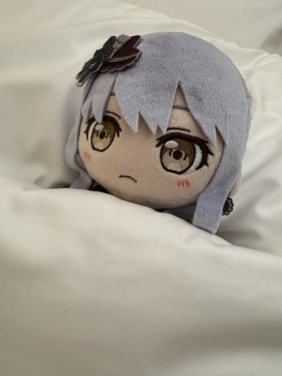 Roseliaアジアツアー！
明日はシンガポール公演🌹
アジアツアーとして初の海外！
私たちの音を届けてきます！！
楽しみすぎるー！また眠れなさそうー！
#Neuweltfahrt
#バンドリ #Roselia