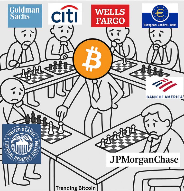 singularissimo's tweet image. bitcoin is your mate