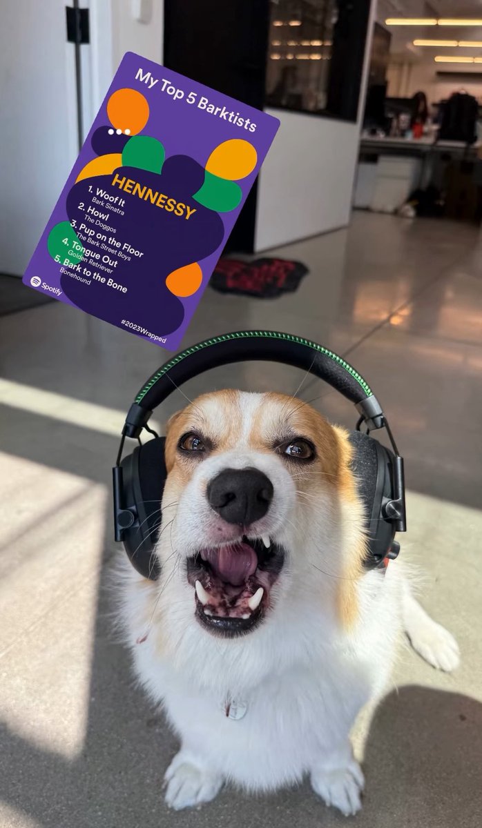 The only Spotify Wrapped you need to see today