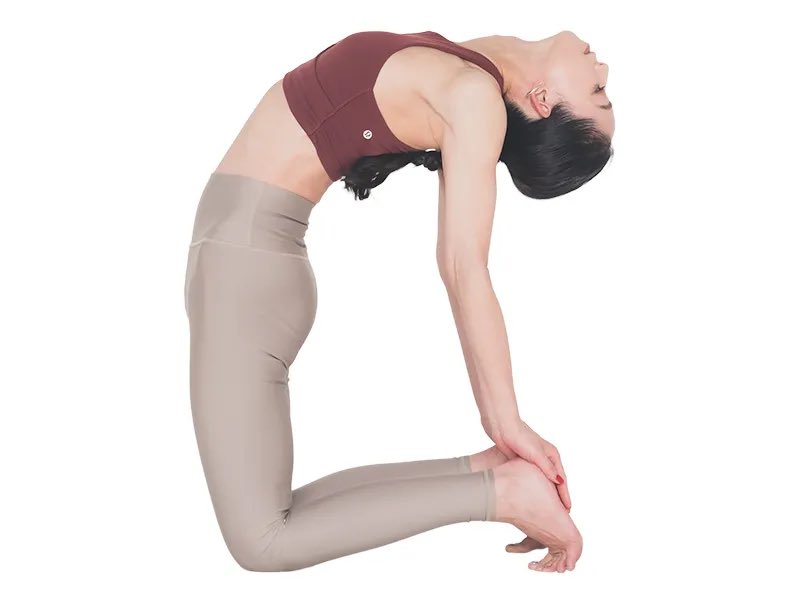 nir_m_nir's tweet image. 暗闇でベッドの上で寝る前ストレッチのラクダのポーズしてたら
リビングから犬来て唸られたんだけど
動物が見ると異様な光景だったんかな。可愛い
笑ってしまって変な筋いかれるかと思ったよ