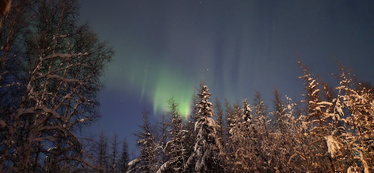 NationalAssemb1's tweet image. @AuroraNotify North Pole Alaska at 7:37am