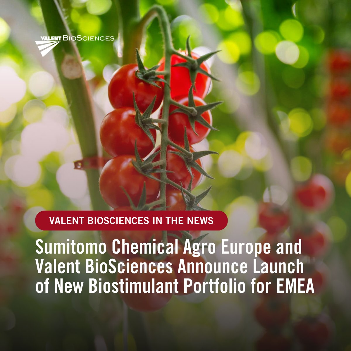 Valent BioSciences tweet media