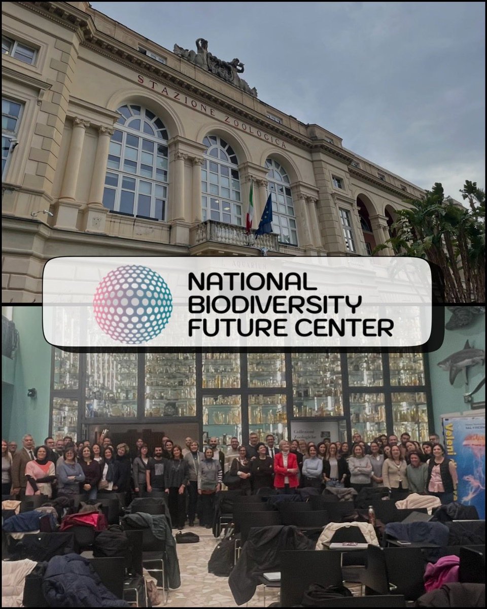 Plastic Busters tweet media