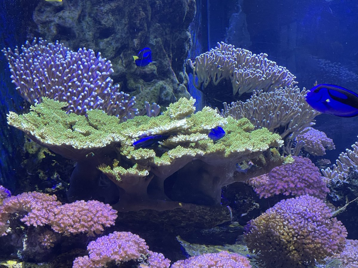 Plastic Busters tweet media