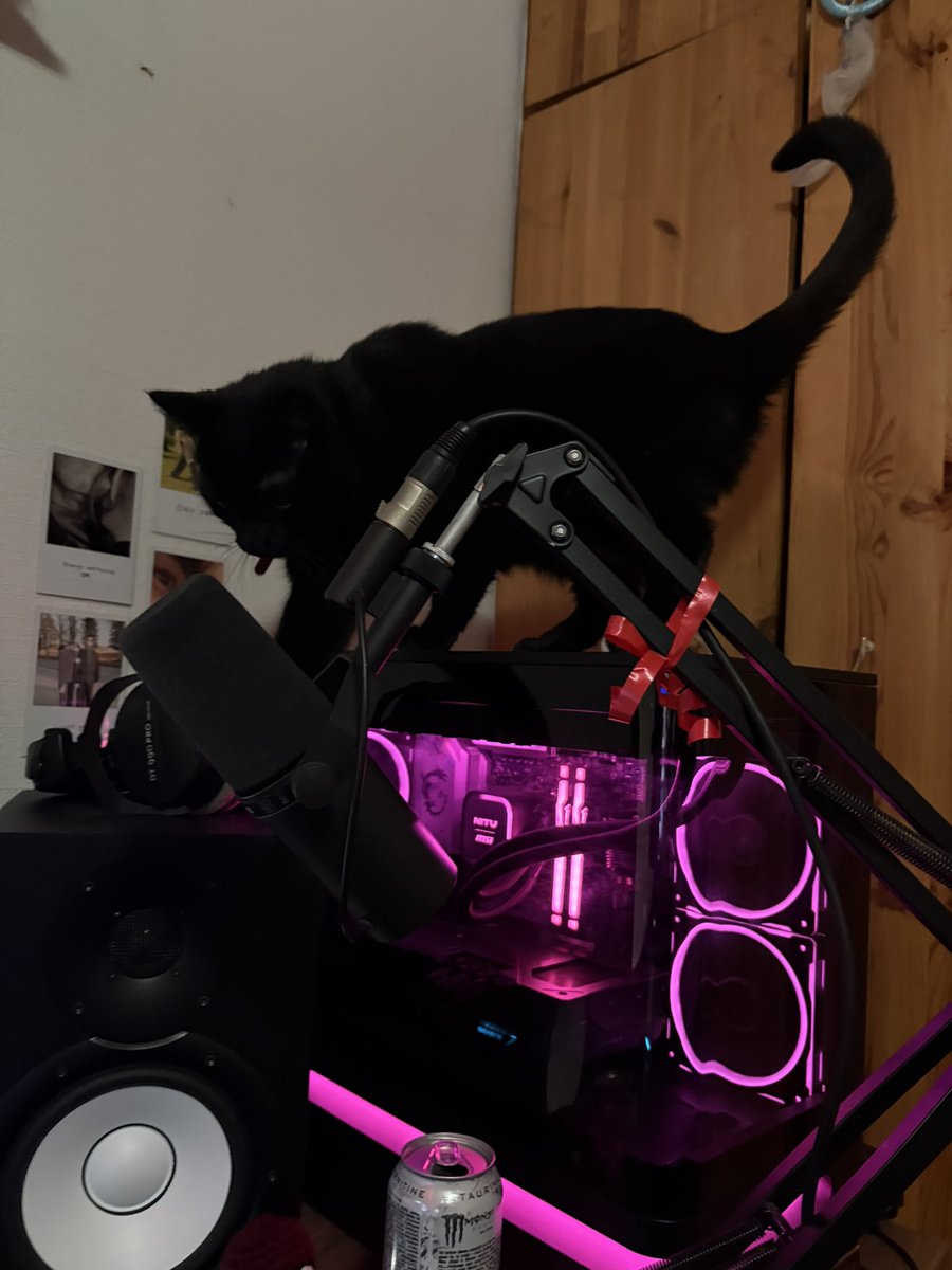 bykxrl's tweet photo. kitty on da pc https://t.co/40YlvqVZU0