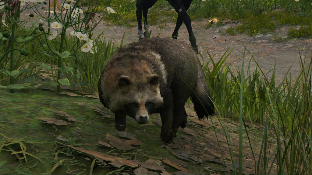 9さい (@miaokame) / Posts / X