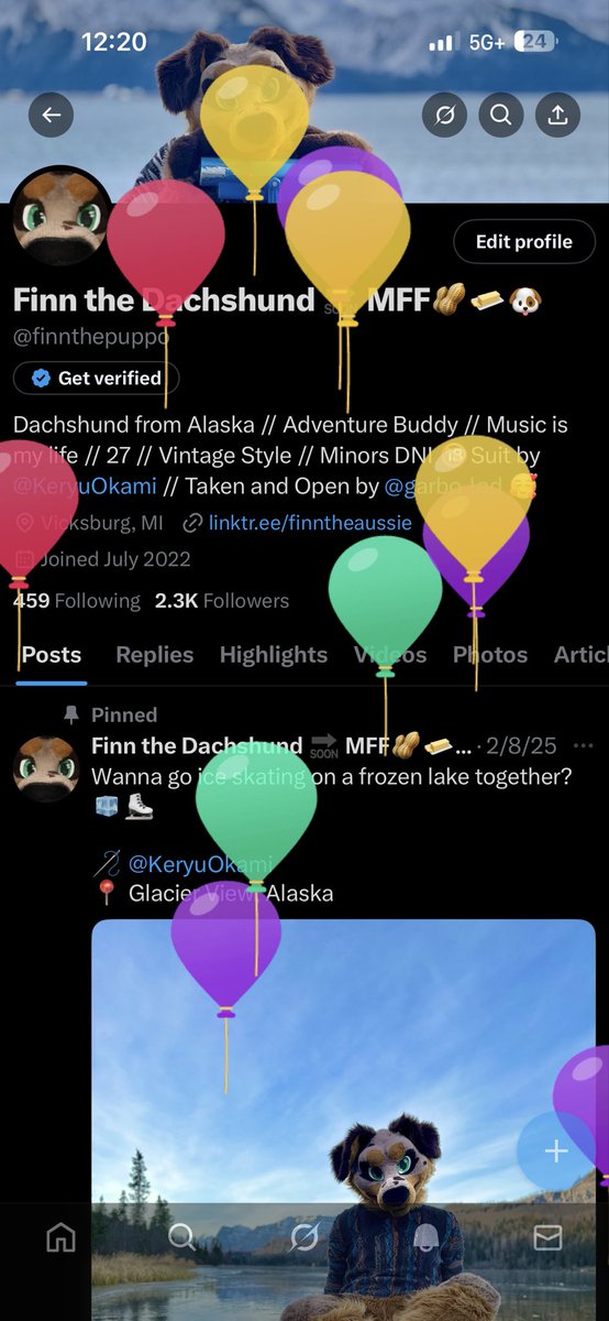 Finn the Dachshund 🔜 LVFC tweet media