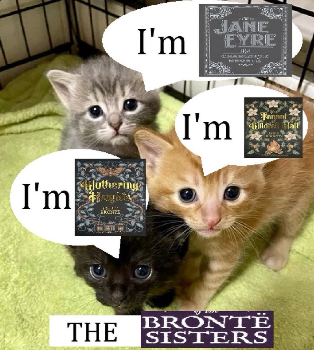 wildfellheights's tweet image. 