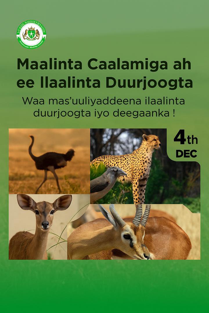 Ministry of Env, Range & Climate Change-Puntland tweet media