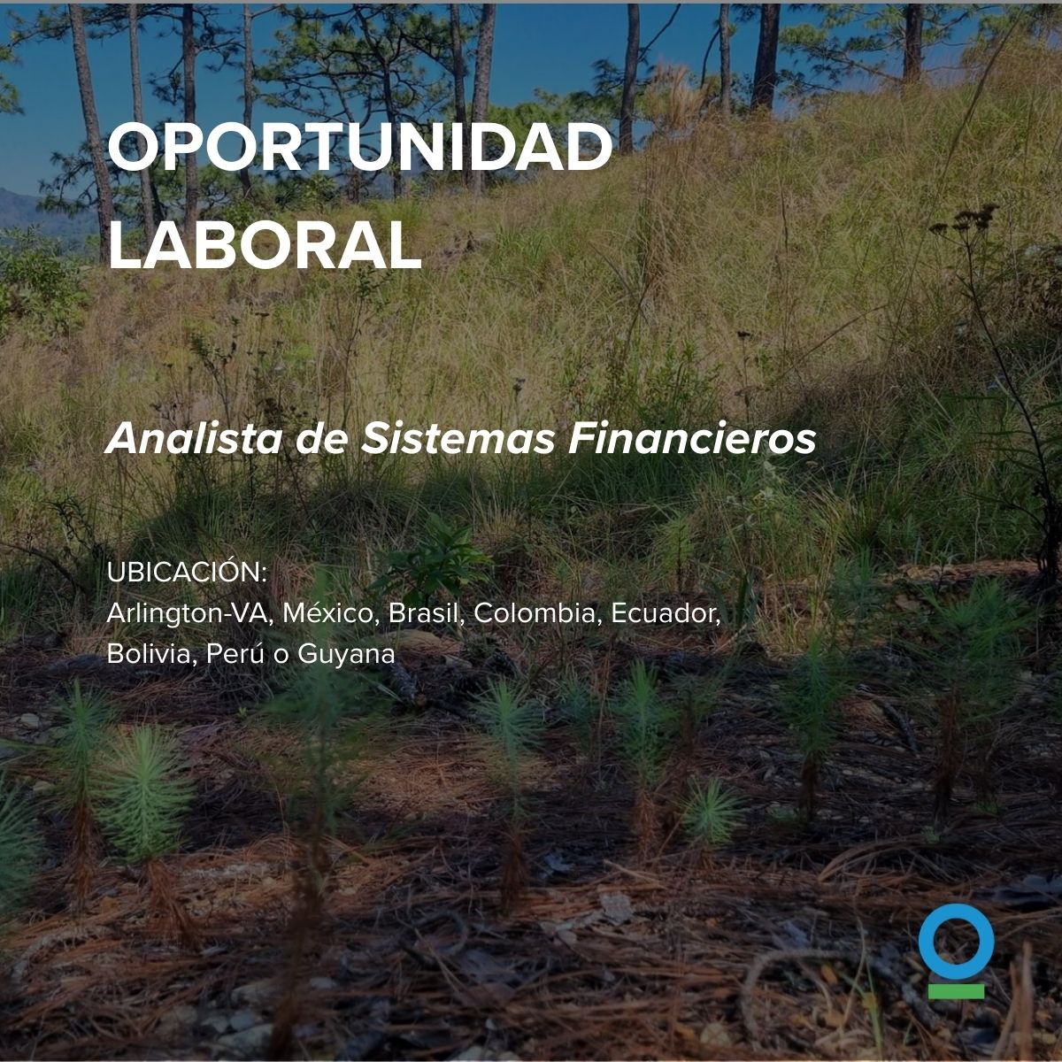 Conservación Internacional México tweet media