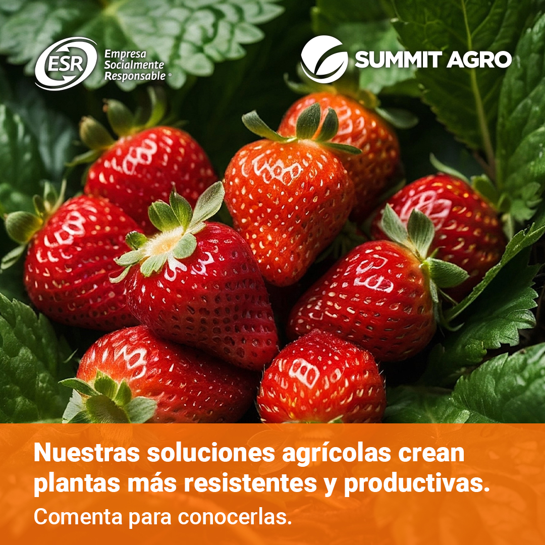 Cuando llega el frío, tus cultivos necesitan un impulso extra. Te decimos cómo lograrlo. 🥶 

#campomexicano #agricultura #bioestimulante #agricultor