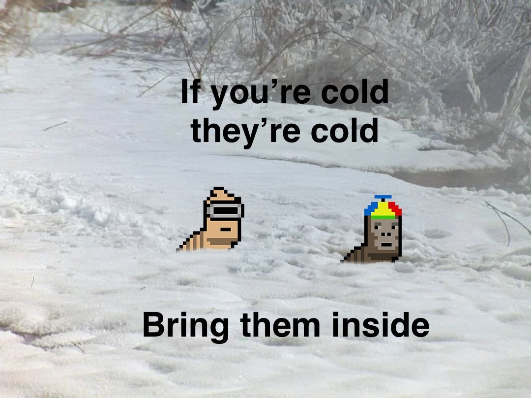 Larva Lads (@larvalads) on Twitter photo 