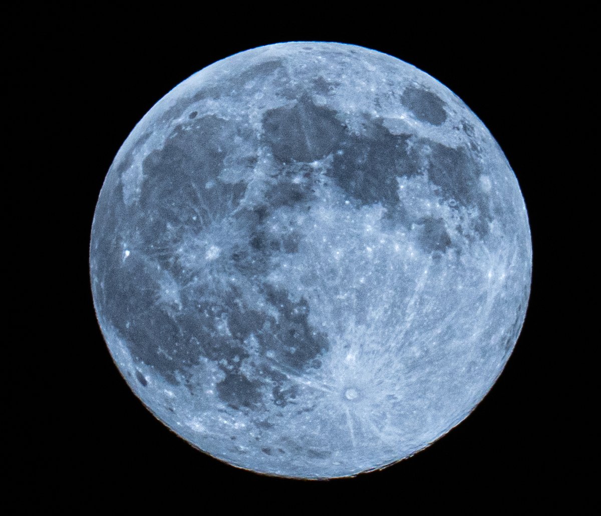 The December Super Moon, taken at 16:35 this afternoon, from our garden in Selsey. <a href="/BBCSussex/">BBC Sussex</a> <a href="/BBCSouthWeather/">BBCSouthWeather</a> <a href="/itvmeridian/">ITV News Meridian</a> <a href="/AlexisGreenTV/">Alexis Green</a> <a href="/HollyJGreen/">Holly Green - Weather Presenter</a> <a href="/PhilippaDrewITV/">Philippa Drew</a>