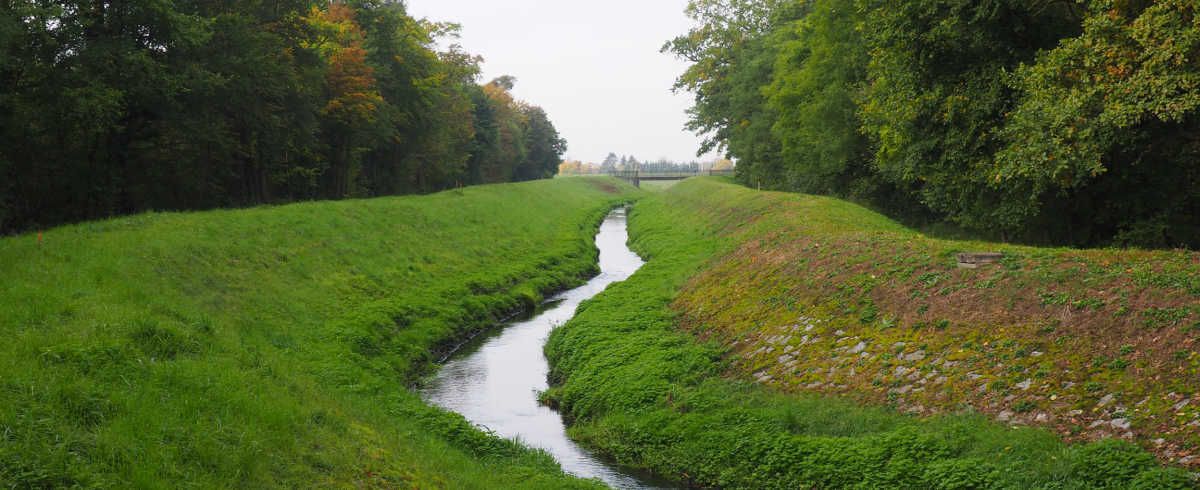 DHA eNews: EPA will revise definition of waters of the U.S., buff.ly/PkOfVhi

#Hardwoods #Hardwood #EPA #WOTUS