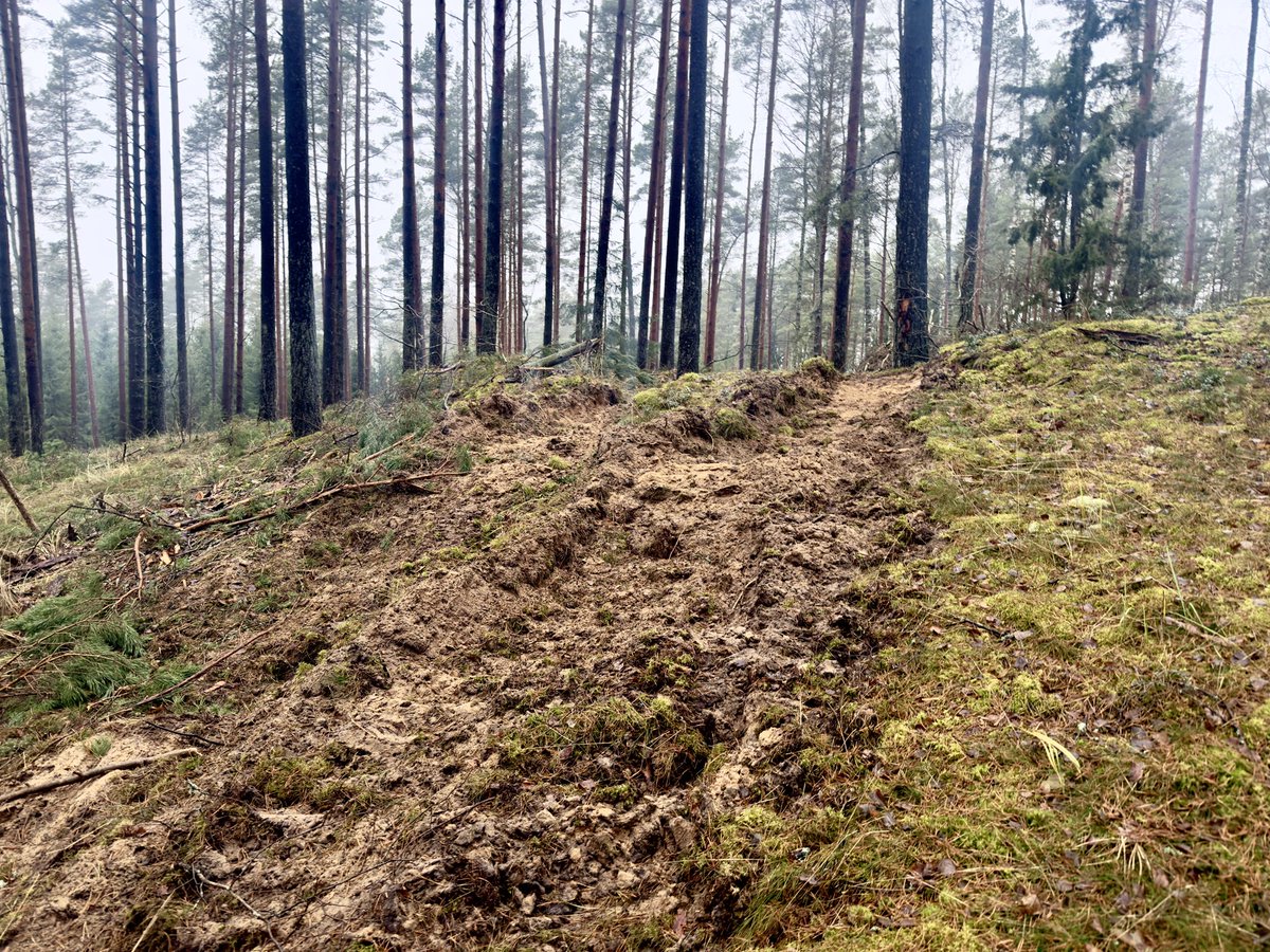 Agris Krusts tweet media