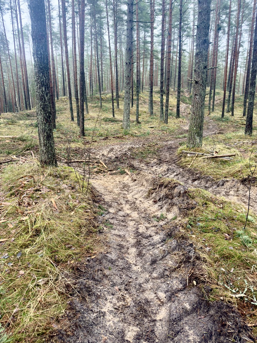 Agris Krusts tweet media