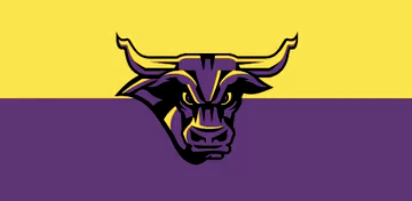 Minn State Baseball tweet media