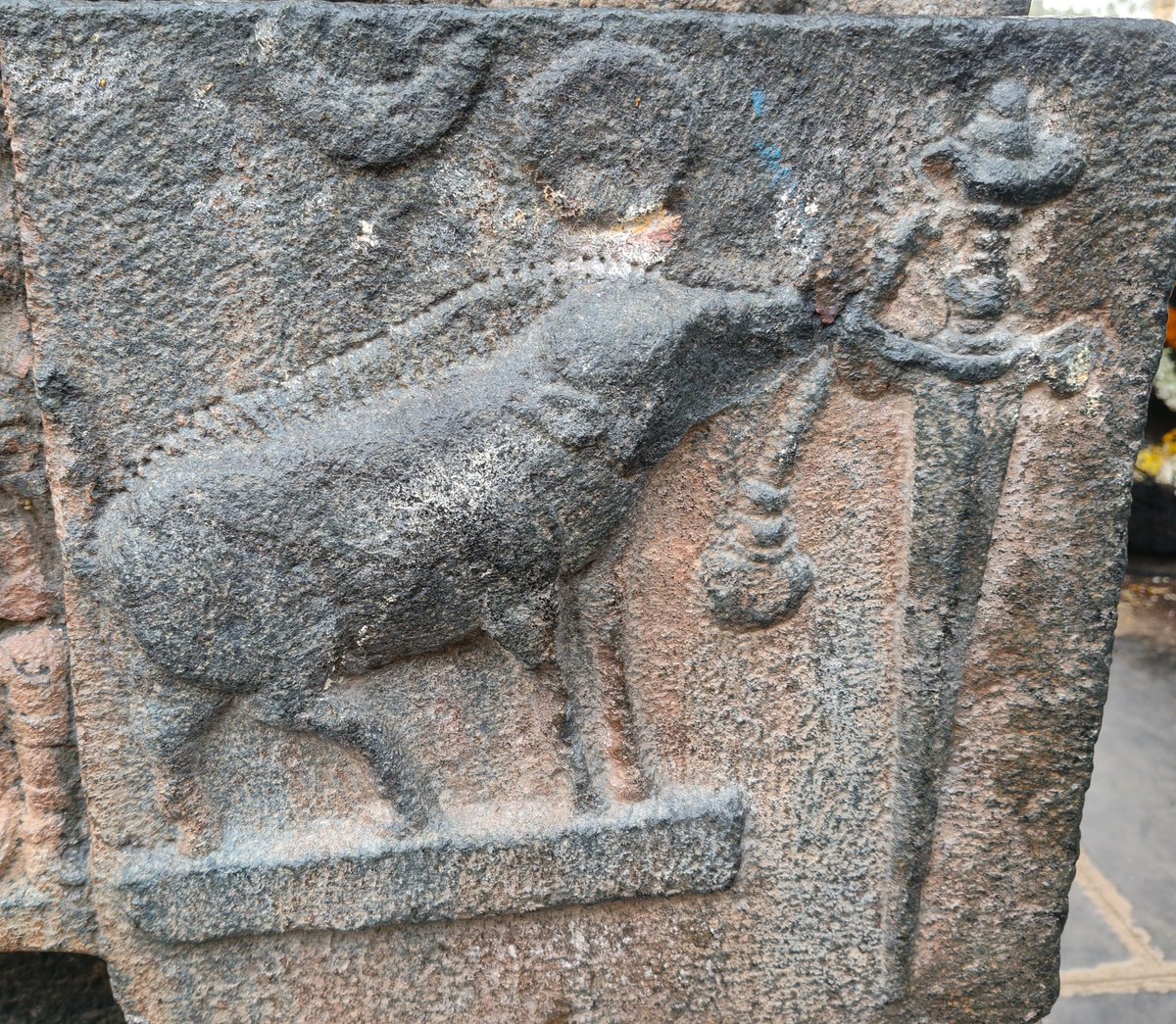 tuxnani's tweet image. ఏ రాజవంశానికి చెందిన రాజలాంఛనం ఇది?