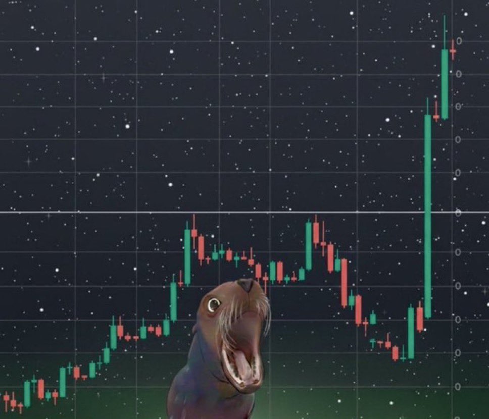 Good floor here for $marcus, bidding before the next leg

A73eJNCtVmWG87FA2maixSkBnG6gEhgiHAE8RYAfpump