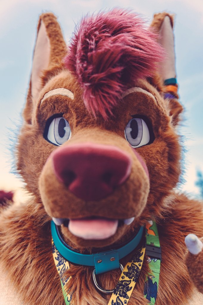 CookieDough 🍪 🔜 NFC tweet media