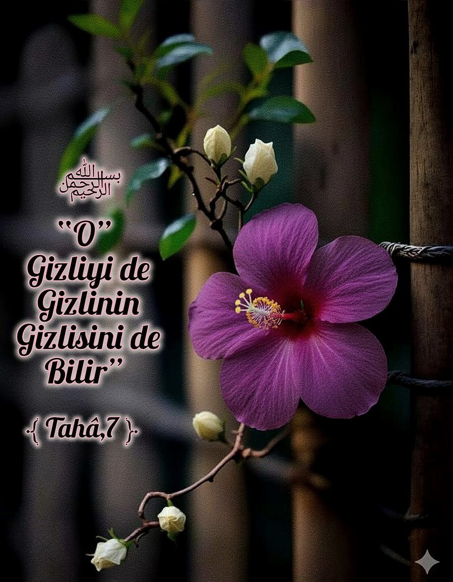 بِسْــــــــــــــــــمِ اﷲِالرَّحْمَنِ اارَّحِيم

"Göklerin
Ve yerin gaybını,gizlisini saklısını bilmek
Allah'a ﷻ mahsustur bütün işler O'na varırı"

"Öyleyse sen O'na kulluk et
Ve O'na dayanıp güven,senin Rabb'in
Yaptıklarınızdan habersiz değildir"  ﴾ Hud,123 ﴿