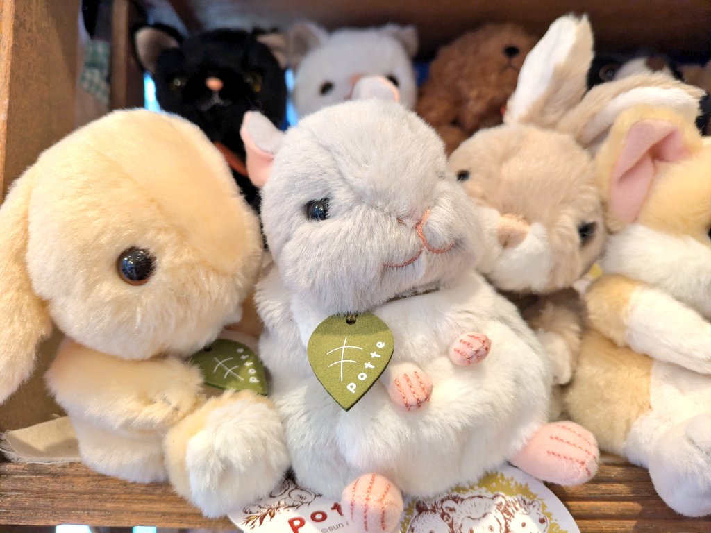 くまこ (@kumaco38) / Posts / X