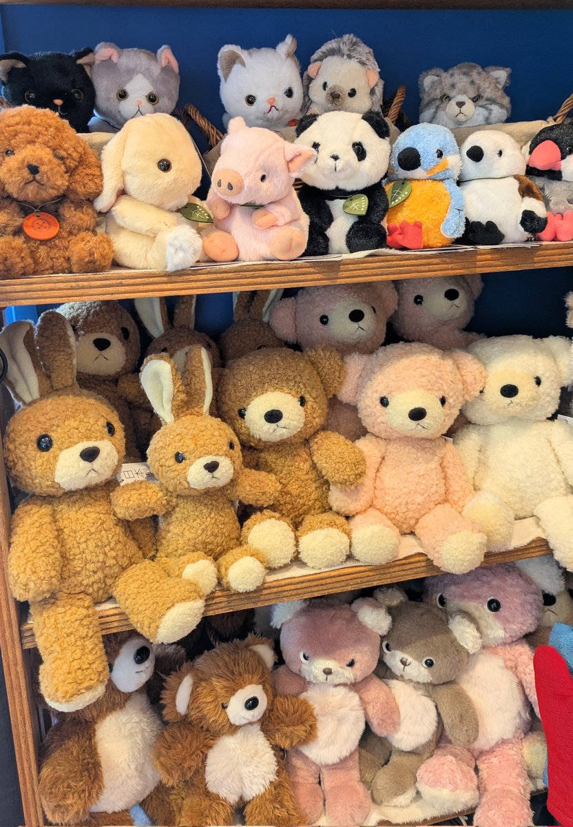 くまこ (@kumaco38) / Posts / X