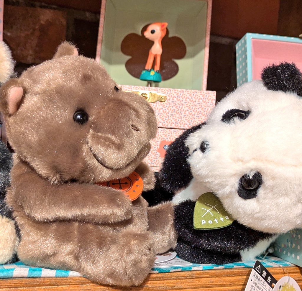 くまこ (@kumaco38) / Posts / X