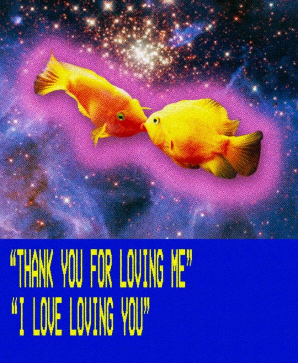 kindfishfriend's tweet image. 