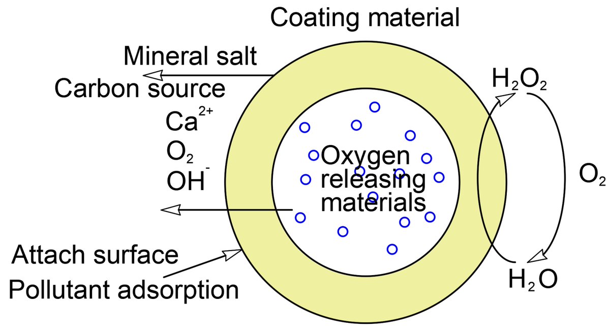 📢 Check out the #highly_cited paper from the #Water journal 

📄Review on Research and Application of Enhanced In-Situ Bioremediation Agents for Organic Pollution Remediation in Groundwater

✍️ Mingyu Xie, et al.

Find out more 👉 brnw.ch/21wY5hT