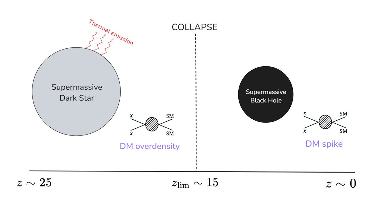VTakhistov's tweet photo. In new paper https://t.co/G1OzRPOkaj, we derive first multimessenger constraints on populations of supermassive dark stars powered by dark matter heating that can seed supermassive black holes. Great work by my postdoc Thomas Schwemberger and visiting student Marco Manno. https://t.co/Lu8KyNLP2G