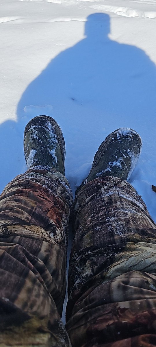 Steve Perry (@fyreduck1921) on Twitter photo 