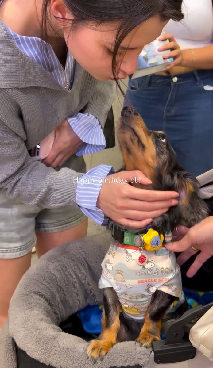 FBlowkey's tweet photo. FLUFFY AND BECKY!!!! THIS HAPPENING YALL 😭😭😭😭😭

#ฟรีนเบค #FreenBecky
#srchafreen #beckysangels https://t.co/xrJXSPjlrG