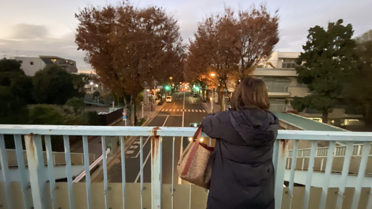 Yoko7Love's tweet photo. どっぷりハマった大好きなドラマ『ひらやすみ』終わっちゃった（泣）
ヒロト君となっちゃんが見てた景色、見に行ってきた。ヒロ兄が言ってた通り、ここから下り坂真っ直ぐだから綺麗な景色がよく見えたよ。NHKさま続編やって！お願い。
 #ひらやすみ　#NHK  #夜ドラ https://t.co/xtLFWMEdVk