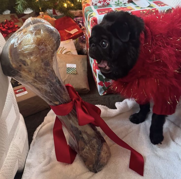 iti malias (@itimaliasof) on Twitter photo 