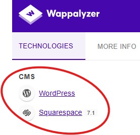 Rank Fuse Digital Marketing tweet media